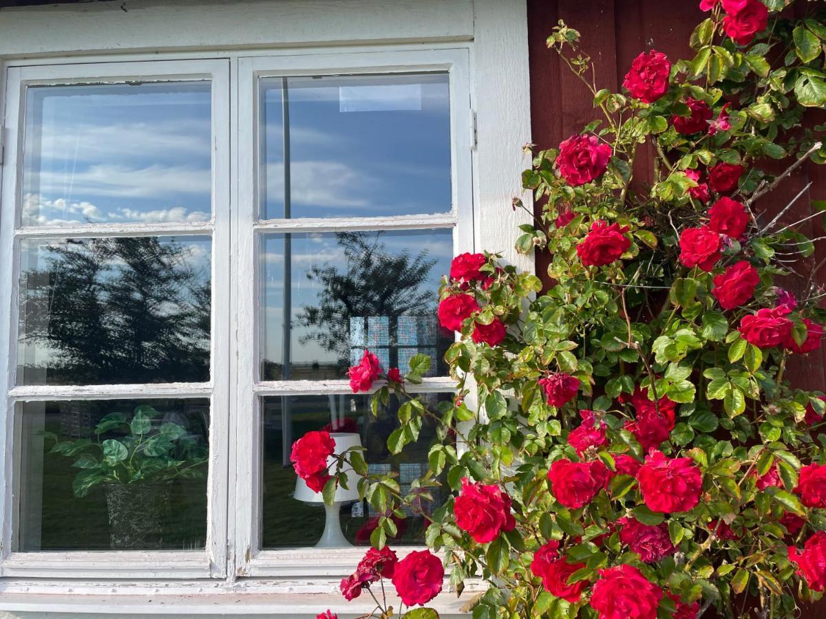 Villa Kapelludden Oestra Oeland Köpingsvik Exterior foto