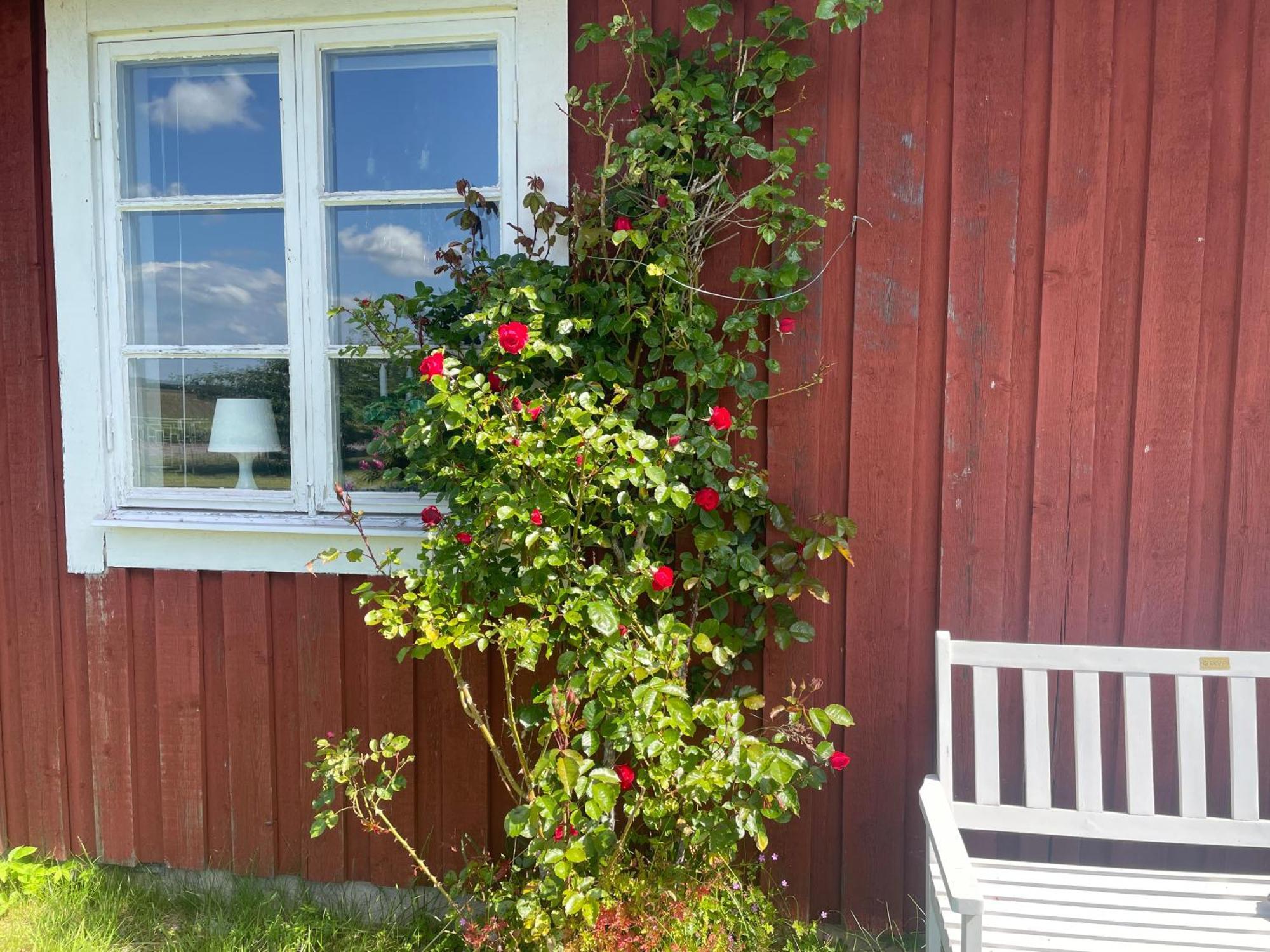 Villa Kapelludden Oestra Oeland Köpingsvik Exterior foto